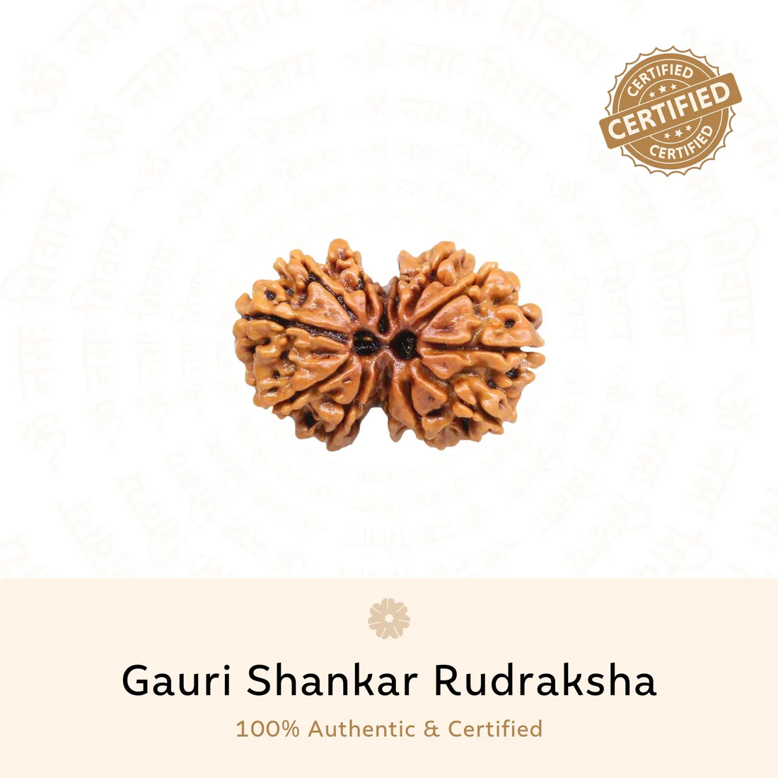 Gauri Shankar Rudraksha | Nepali | Unity and Love - Image 2