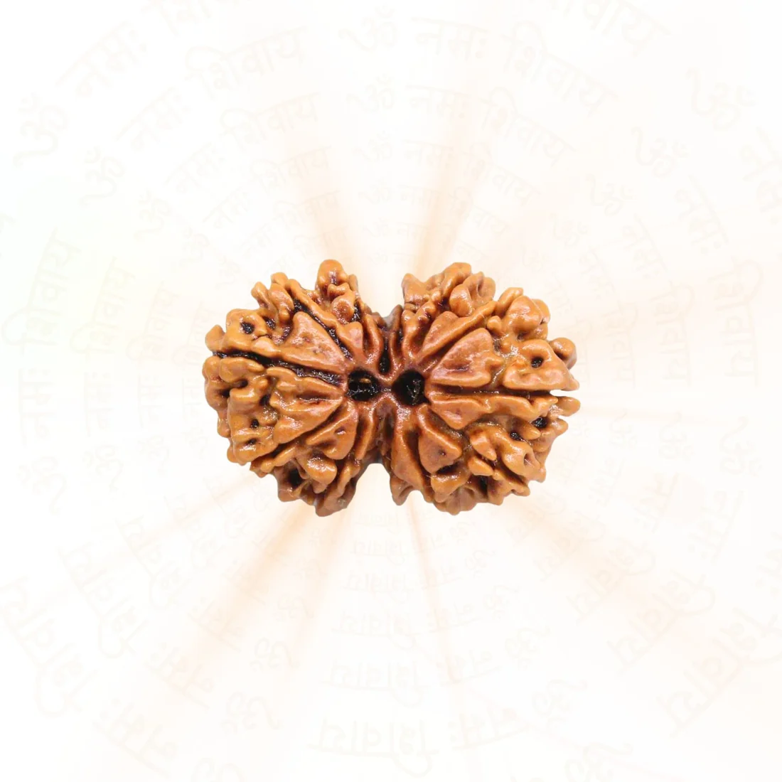 Gauri Shankar Rudraksha | Nepali | Unity and Love